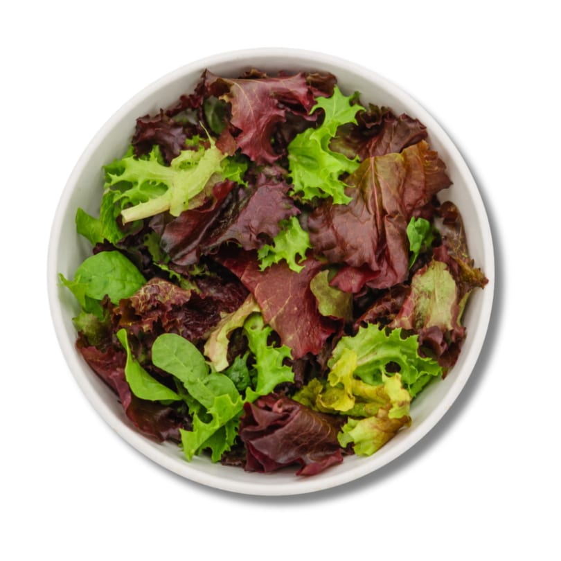 White bowl filled with fresh mixed green and red lettuce leaves.